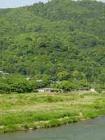 �򻳸������Ƿ���϶�ˤ��󤯤ˡ�����