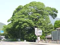 �ġ��Ȥ��������ڡ���ǯ�⡰����