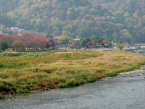 ������������