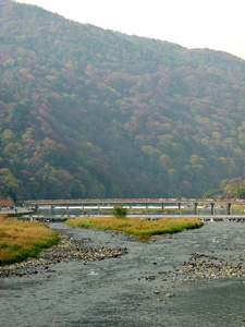 �Ϸ��ή����