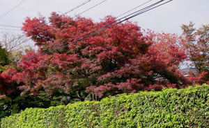 �Ŀ���ˤ���դ�������