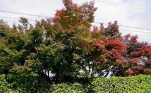 �Ŀ���ˤ���դ�������