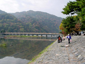 �Ϸ��ή����