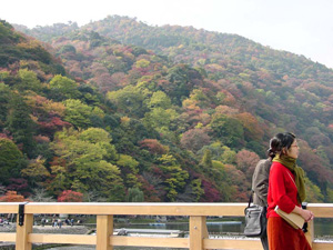 �������ʤä��Ϸ����