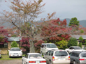 �����������־�ˤ���դ�������