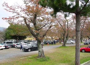 �����������־�ˤ���դ�������