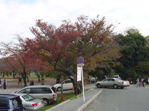 �����������־�ˤ���դ�������