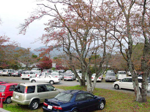 �����������־�ˤ���դ�������