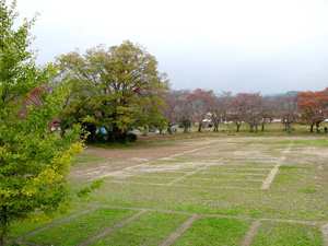 �򻳤α�ư����ˤ����