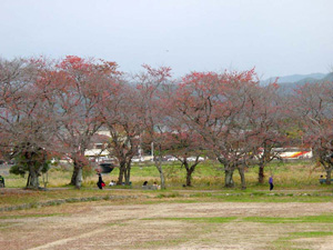 �򻳤α�ư����ˤ����