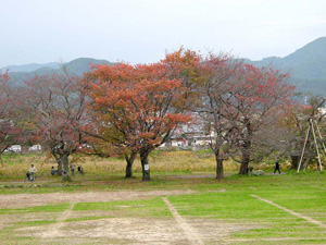 �򻳤α�ư����ˤ����