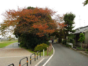 �򻳤��龾����ҤޤǤΥ�������󥰥�����