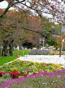 �򻳤��龾����ҤޤǤΥ�������󥰥�����