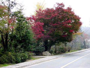 �������Ӽ��դι���