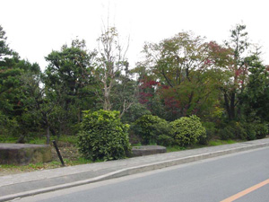 �������Ӽ��դι���