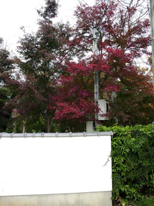 �������Ӽ��դι���