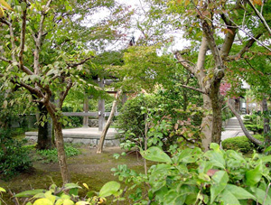 �������Ӽ��դι���