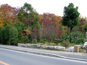 �������Ӽ��դι���