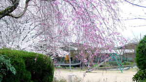 ����ʪ��ߥ塼������