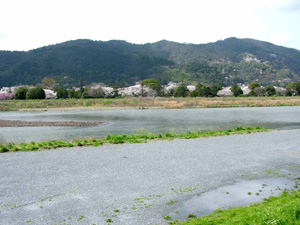 �������಼ή