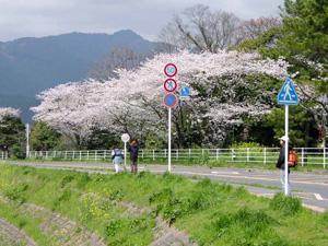 �򻳤߸�����ƻ