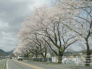 �򻳤߸�����ƻ