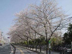 JR�����κ�ƻ