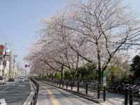 JR�����κ�ƻ