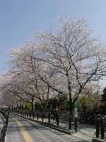 JR�����κ�ƻ