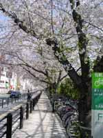 JR�����κ�ƻ