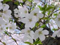 JR�����κ�ƻ