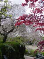 �޿����ȹ���