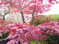 �޿����ȹ���