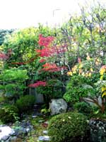 ���������鸫�����������