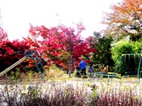 ���������鸫�����������