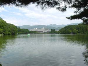 �����ӹ�ݲ�ľ�