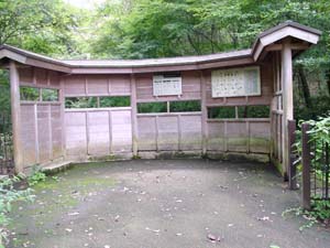 �С��ɥ����å��󥰾�