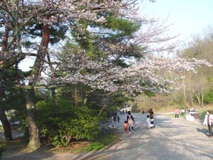 ����失�뻶��ƻ