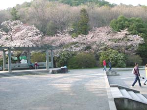 ���̤��鸫���뻳��