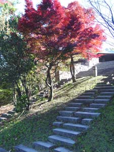 ����ؤ���ϩ