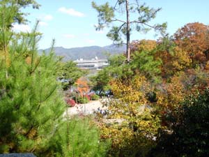 �ڱ����鸫�����ݲ�ľ�