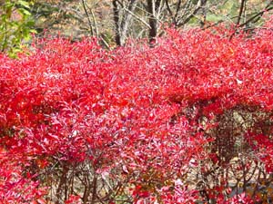 �㤤���ڤ����