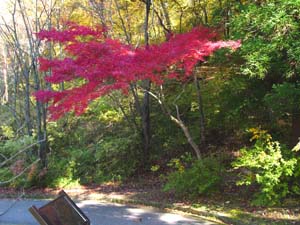 �ڱ��Ǥ⿿���֤�