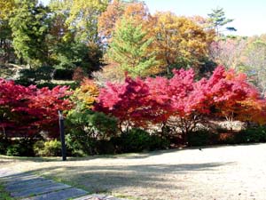 �㤤�Ȥ����������դ�