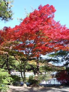 �����֤ʼ���