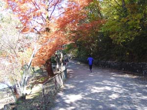 ����失�뻶��ƻ