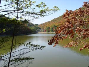 ���̤��鸫���뻳��