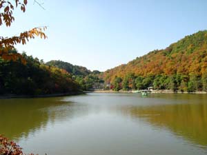 ���̤��鸫���뻳��