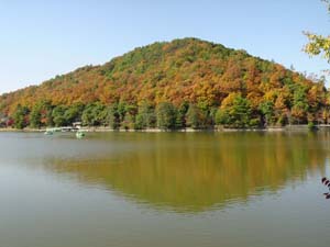 ���̤��鸫���뻳��