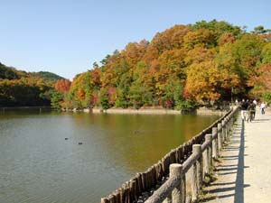 ��ä��ꤷ�����֤�ή�����ϩ